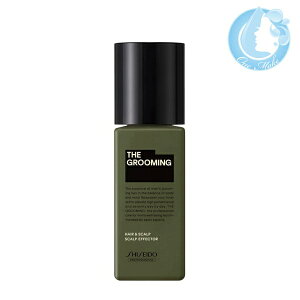  UEO[~O XJvGtFN^[ 120mlyz(}փRpNg YTC)(WHS1244)