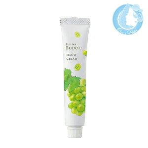 fC[A}Wp xmRԂǂ nhN[~j 20gySiz(䂤[ YML)(WHS2200)