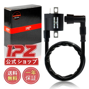 ��P2�{���y���������z1PZ JY1-C01 ���� �C�O�j�b�V�����R�C�� �v���O�R�[�h �A�v���I �X�[�p�[JOG ZR �X�[�p�[�W���OZR JOG90 �W���O90 DT230 �����c�@ BW'S100 �r�[�E�B�Y100 TDR50 TDR80 TS125R �O�����h�A�N