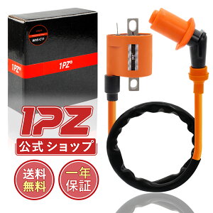 [P5{][]1PZ JP1-CO6 IW 595mm COjbVRC YBR125 SR500 TW200 TW225 E Z[225 W Z[250 GY6GW 50cc 125cc 150cc ЊOi oCN eiX p[c