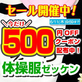【最大500円OFFクーポン配布中】ゼッケン 名入れ 体操服 名前 印刷 体操着 名前シール 水着 スイミングキャップ プリント プール 布用 入学準備 入園準備 5サイズ 縫い付け 小学校 入学準備 ネームシール 水泳 運動会 マラソン 陸上 テニス 球技 labo お名前シールラボ