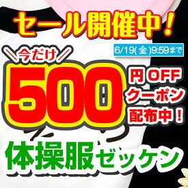 【最大500円OFFクーポン配布中】ゼッケン 名入れ 体操服 名前 印刷 体操着 名前シール 水着 スイミングキャップ プリント プール 布用 入学準備 入園準備 5サイズ 縫い付け 小学校 入学準備 ネームシール 水泳 運動会 マラソン 陸上 テニス 球技 labo お名前シールラボ