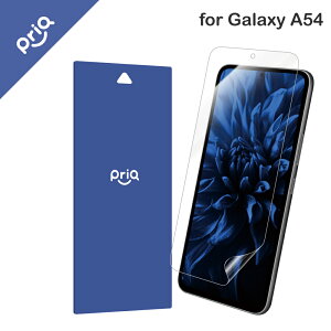 y[ z [PriQ] Galaxy A54 5G SC-53D/SCG21 یtB uPREMIUM FILMv Sʕی u[CgJbgEՌz