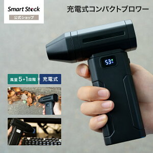 [dRpNgu[ ubN R[hXgp\ USB Type-C[d ő3Ԏgp\ ʒ5iK(p[[hL) yʂŎ₷ SSK-BW01BK