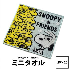 タオル ギフト ハンカチ SNOOPY スヌーピー ミニテリー 25×25cm PN3607TW 23ww ジャガード 西川 日本製 綿100％ 無撚糸 Vintage PEANUTS ピーナッツ スヌーピー＆フレンズ イエロー 黄色