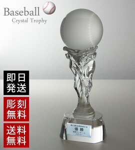 NX^gtB[ 5 24cm KX  ϔt XC-P-0146 [23x47]qUVr