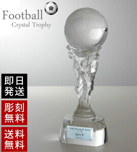 NX^gtB[ 5 24cm KX  ϔt XC-P-0146 [23x47]qUVr