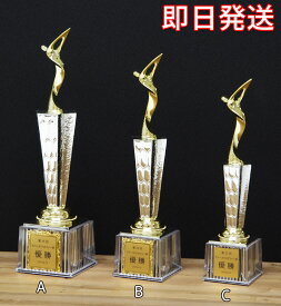 楽天市場 ファーストトロフィーの通販