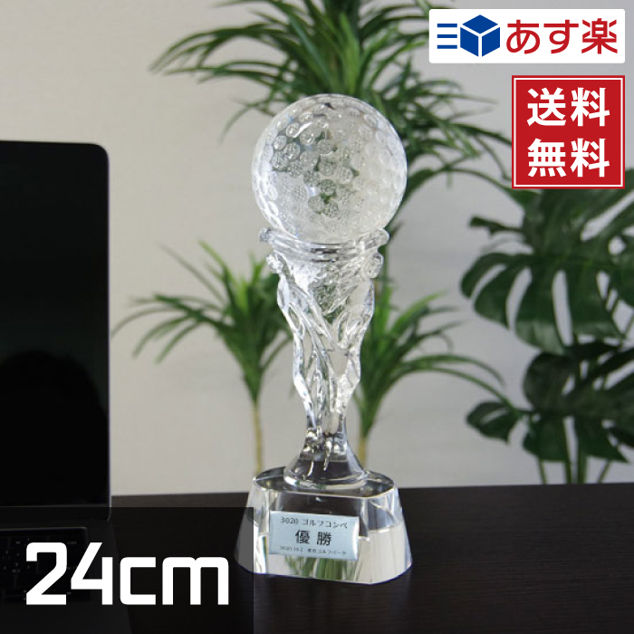クリスタルトロフィー 5種類 24cm ガラス製 名入れ 化粧箱付き XC-P