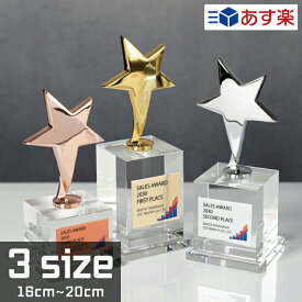 クリスタルトロフィー スター 2色 3サイズ ガラス製 名入れ 化粧箱付き XC-P-0194