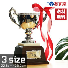 優勝カップ 3サイズ 金属製 名入れ 化粧箱付き XK-02
