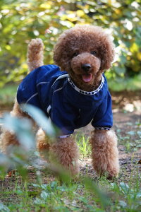 中型犬 犬用 コート ペット服の通販 価格比較 価格 Com