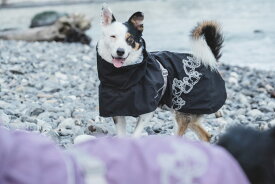 楽天市場 北欧 ドッグウェア 犬用品 ペット ペットグッズの通販