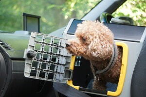 yzXEF[fEMIM SAFËShbOJ[NCgyCARE2ELTCYz