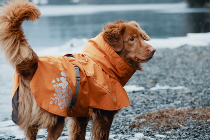 楽天市場 Hurtta フルッタ レインコート モンスーンコート 小型犬用 1stdogcafe 楽天市場 Hurtta フルッタ レインコート モンスーンコート 小型犬用 1stdogcafe