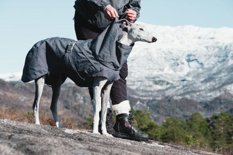 フィンランドのドッグブランド Hurtta 大注目 フルッタ ドッグジャケット エクスペディションパーカー 購買 大型犬用