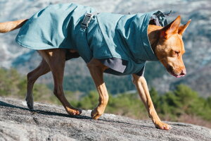 犬用 フルッタ 大型犬 ペット服の人気商品 通販 価格比較 価格 Com