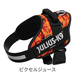 yJulius K9{㗝XcXzyzyJulius-K9zEXP[iCEIDCp[n[lX@j[J[