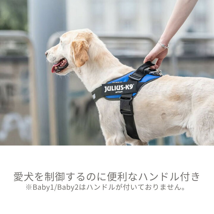 楽天市場】【Julius K9日本総代理店直営店】【送料無料】【Julius-K9 
