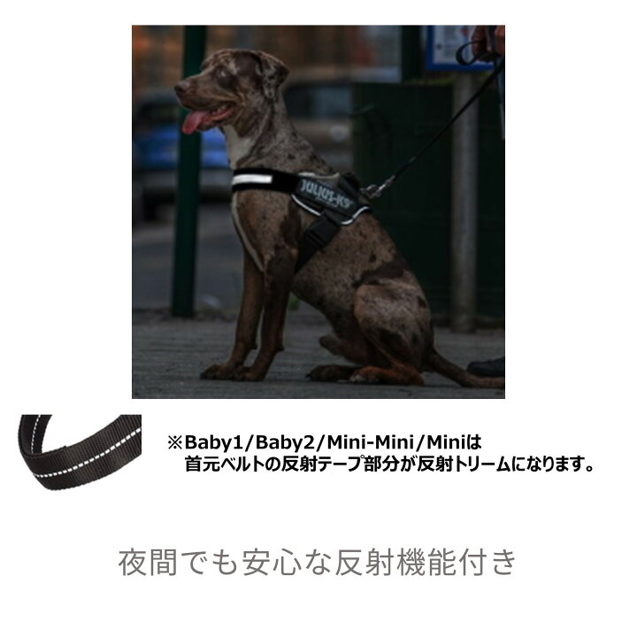 楽天市場】【Julius K9日本総代理店直営店】【送料無料】【Julius-K9  