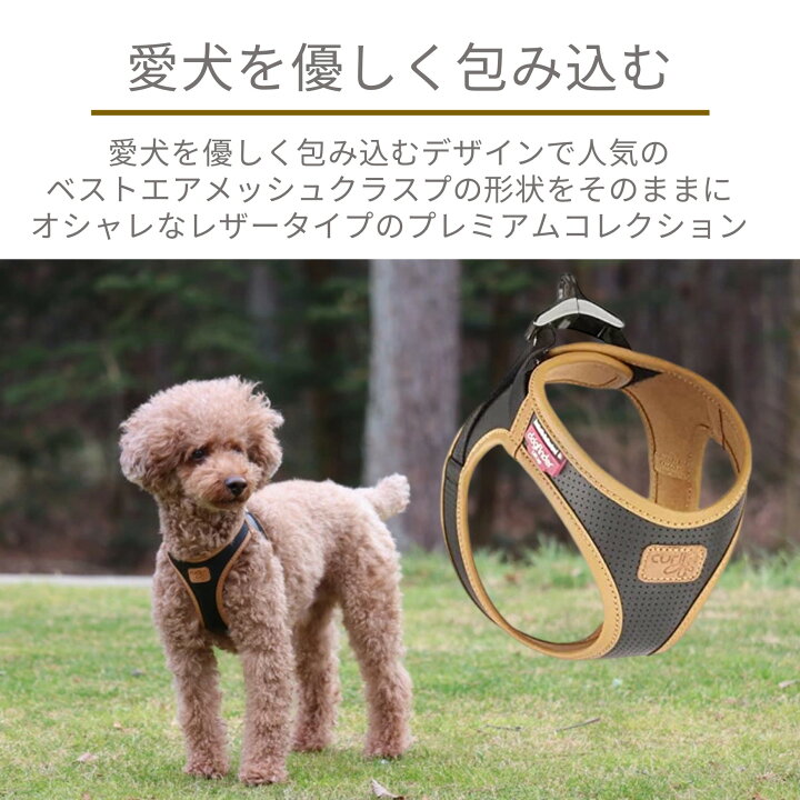 楽天市場】スイスデザイン【Curli】 カーリープレミアムコレクション 