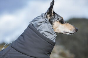 犬用 フルッタ 大型犬 ペット服の人気商品 通販 価格比較 価格 Com