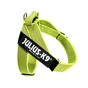 �yJulius K9���{���㗝�X���c�X�z�yColor&Gray�V���[�Y�zIDC�x���g�n�[�l�X