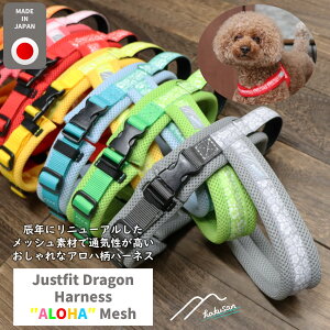 [Hakusan]kfUCAnn[lXyWXgtBbghSn[lXEAnbVz