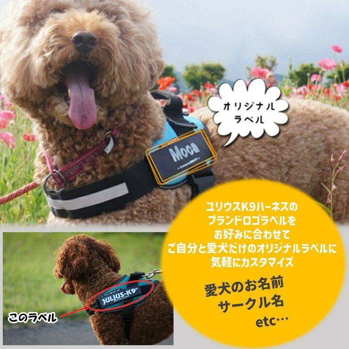 楽天市場】【ハーネス・リード・ラベル3点同時購入対象】【500円ラベル 