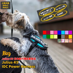 yJulius K9{㗝XcXzyzyJulius-K9zEXP[iCEIDCp[n[lX BabyTCY@^pTCY