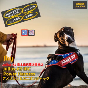 yJulius K9{㗝XcXzyzyJulius-K9zEXP[iCEIDCp[n[lX AJjIWbN TCY0`TCY3@`^pTCY