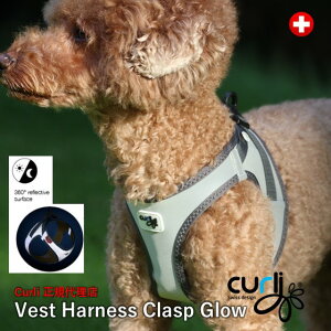 スイスデザイン【Curli】【カーリー】 全面反射リフレクターのベストハーネス・クラスプGLOW【CLASP/Glow】