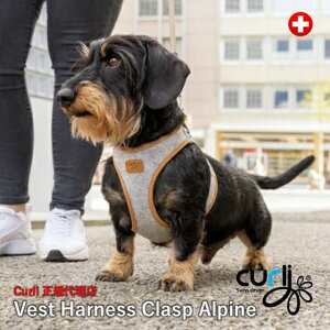 XCXfUCyCurlizyJ[[z H~tFgxXgn[lXENXvEApCyCLASP/ALPINEz