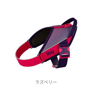 yJulius K9{㗝XcXzyzyJulius-K9zEXP[iCEJK9 Xg[gn[lX