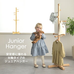 WjAnK[ ^Cv CH-137 ؐ qp|[nK[ 芴̂VR؃fUC