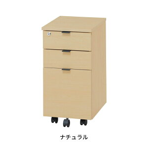 CS WDS-MNW fXNS X t I[bN LX^[t 31cm TChS 3i TCh`FXg fXNLrlbg   킢