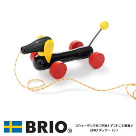ダッチー(小) 30332 おもちゃ 知育玩具 プルトーイ 木製玩具 BRIO ブリオ