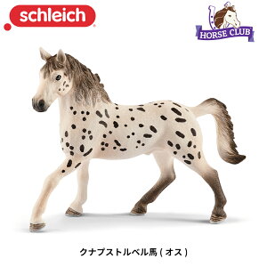 NivXgxn(IX) 13889 tBMA z[XNu VCq