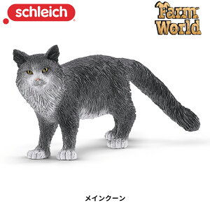 CN[ 13893 tBMA t@[[h VCq