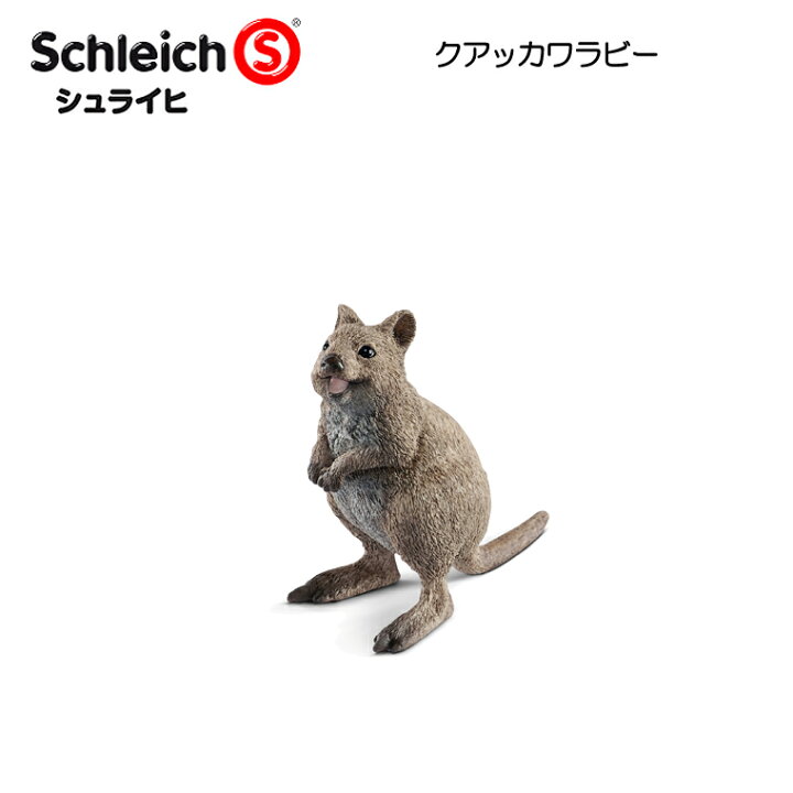 楽天市場 クアッカワラビー 143 動物フィギュア ワイルドライフ シュライヒ 子供家具 玩具のファーストキッズ