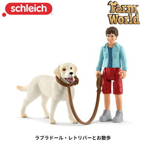 uh[Ego[ƂU 42478 tBMA t@[[h VCq