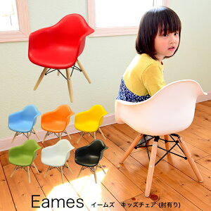 y5%OFFN[|zzzygsvizC[YLbY`FA(It) ESK-004 v_Ngi Eames C[Y`FA q֎q `Ch`FA qpƋ ݌Ɍ Ԏi