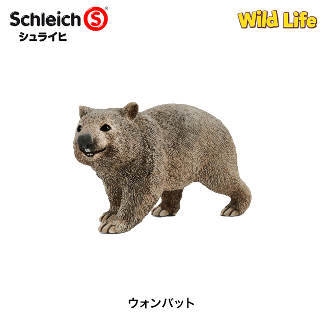 Schleich シュライヒ 玩具 フィギュア ジオラマ ワイルドライフ 14834 ウォンバット 新着 動物フィギュア 10%OFFクーポン配布中 保証