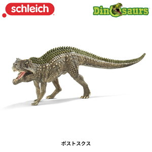 |XgXNX 15018 tBMA fBmTEX VCq