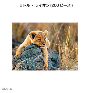 gECI(200s[X) 6129461 WO\[pY qlpY mߋ xXo[K[ Ravensbuger BRIO uI