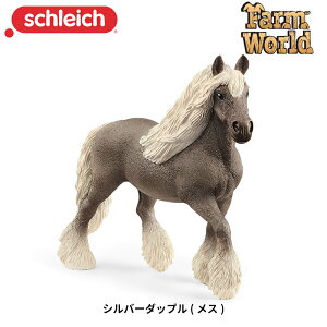 Vo[_bv (X) 13914 tBMA t@[[h VCq