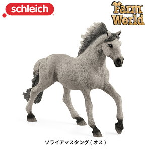 \CA}X^O (IX) 13915 tBMA t@[[h VCq