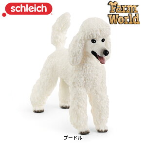 v[h 13917 tBMA t@[[h VCq