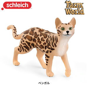 xK 13918 tBMA t@[[h VCq