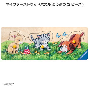 }Ct@[XgEbhpY ǂԂ(3s[X) 6032037 WO\[pY qlpY mߋ xXo[K[ Ravensbuger BRIO uI